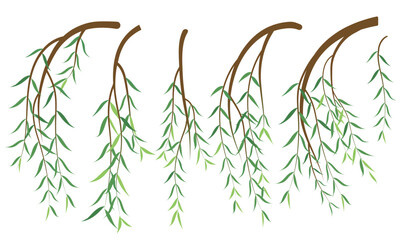 Vector illustration of willow branches