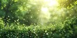 Defocused green tree in forest with sunlight representing greenery with a big space for text or a advertisement backdrop, Generative AI.