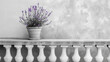 A white wall with a purple flower in a white pot