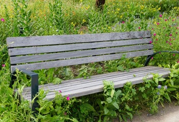 Wall Mural - A wooden bench surrounded by beautiful wildflowers in the Spring