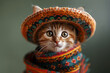 Cute kitten wearing a Mexican sombrero. Cinco de Mayo celebration