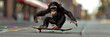 Monkey rides a skateboard,A monkey skateboarding down the street on a black skateboard in the style of life in new york city

