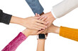 © Rawpixel.com - Png Diverse hands united mockup in teamwork concept