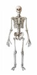 © Jevjenijs - A skeleton stands with one foot on the ground and one hand supporting its lower back