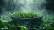   A bowl overflowing with verdant plants rests atop a lush, green lawn Steamy vapors ascend from the bowl's peak
