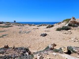 Fototapeta Las - Beach in Cyprus