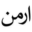 Armin Muslim Girls Name Naskh Font Arabic Calligraphy
