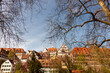 The buildings of the old town of Tübingen through the spring trees in early April