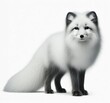Image of isolated arctic fox against pure white background, ideal for presentations
