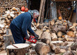 A man works with a saw, processing firewood for the winter season
