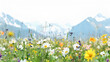 Arnica plant montana field swiss flowers wallpaper Wide shot of yellow Arrowroot Balsam flowers waving in the wind on lush green prairie with mountains in the background and a beautiful, Generative Ai