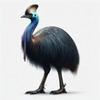 Image of isolated cassowary against pure white background, ideal for presentations
