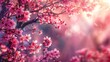   A tight shot of a tree displaying pink blooms in the foreground, while the background softly blurs