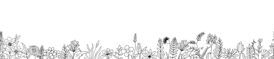 Wall Mural - Wild blooming meadow flowers seamless border. Horizontal banner, floral overlay backdrop. Botanical monochrome ink sketch style hand drawn vector illustration isolated on transparent background.