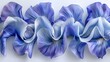   A collection of blue blooms arranged together on a pristine white backdrop White wall serves as the background