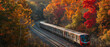 A colorful commuter train gliding through a picturesque forest filled with autumn hues and tranquility.