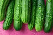 Vibrant arrangement of fresh cucumbers with glistening water droplets set on a pink background, highlighting concepts of freshness and healthy eating