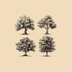 hand drawn sketch tree species illustration set. vector isolated vintage background