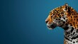   A tight shot of a leopard's head against a blue backdrop, displaying just the animal's head