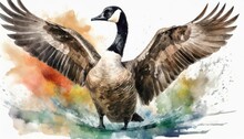 A Canadian Goose Flapping Wings, In A Colorful Watercolor Style. 