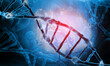 DNA strand on scientific background. 3d illustration.