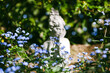 White sculpture or statue standing in outdoor garden surrounded with green natural Blue Caucasus Brunnera macrophylla, the Siberian bugloss, great forget-me-not, largeleaf brunnera or heartleaf 