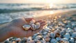 Hand holding seashells by the shore