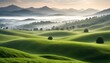 A lush green meadow with rolling hills and mountains in the background, shrouded in mist