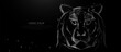 Portrait of a Tiger on black background. Low polygonal, wireframe, and mesh illustration
