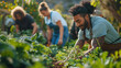 © lilid - Activité communautaire dans un jardin potager durable