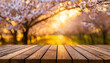 
wooden platform, spring, spring landscape, spring orchard,