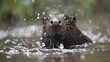 Mole found dead after being submerged in torrential rain