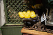 Artificial lemons  on vintage scales . Decoration concept