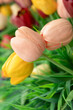 Colorful artificial tulips background. Vertical shot , close up
