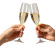 © PNG Land - two hand hold a glasses of champagne isolated on transparent background