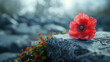 Close-up of a poppy flower on a grave cemetery tome gravestone, set against the backdrop of an ongoing battle, emphasizing hope amidst chaos, 8K