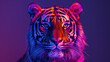 colorful painting abstract art panther on a neon studio background