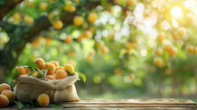 Ripe Apricots In A Bag On A Wooden Table