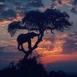 An elephant is standing on a tree branch in front of a sunset