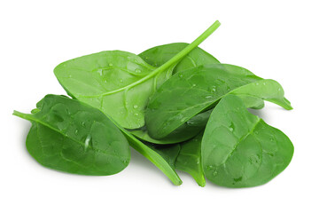 Wall Mural - Baby spinach leaves isolated on white background