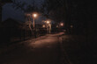 ciemna uliczka w nocy w mieście z latarniami we mgle