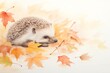 A watercolor painted hedgehog curled up among autumn leaves, quills detailed