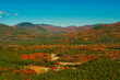   top view of autumn colorful hilly mountains covered with forest and cute houses. USA.  New Hampshire