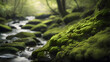 Emerald Moss on River Boulders