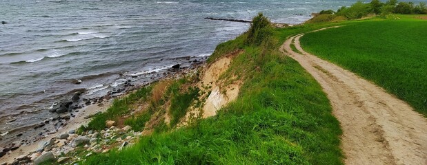 Wall Mural - A path in the field and a slope to the sea