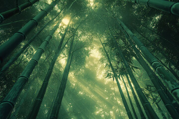 Aufkleber - A scene depicting a dense bamboo forest, the green stalks rising high into the sky, a quiet rustle f