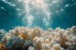 An image of a coral spawning event, where corals release clouds of eggs and sperm into the water, a