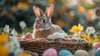 Rabbit Sitting in Basket of Eggs