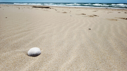 Wall Mural - Coquillage et sable