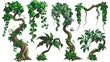 Branches of liana with green leaves and flowers isolated on white. Modern cartoon illustration of twisted jungle plants with leaves, stems of rainforest trees, and roots of old trees.